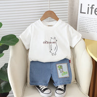 Boys Short Sleeve Graphic White T-Shirt With Denim Shorts Set Sets