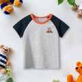 Boys Color-blocked Raglan Sleeves T-Shirt Tshirts Gray 1-2 Y 