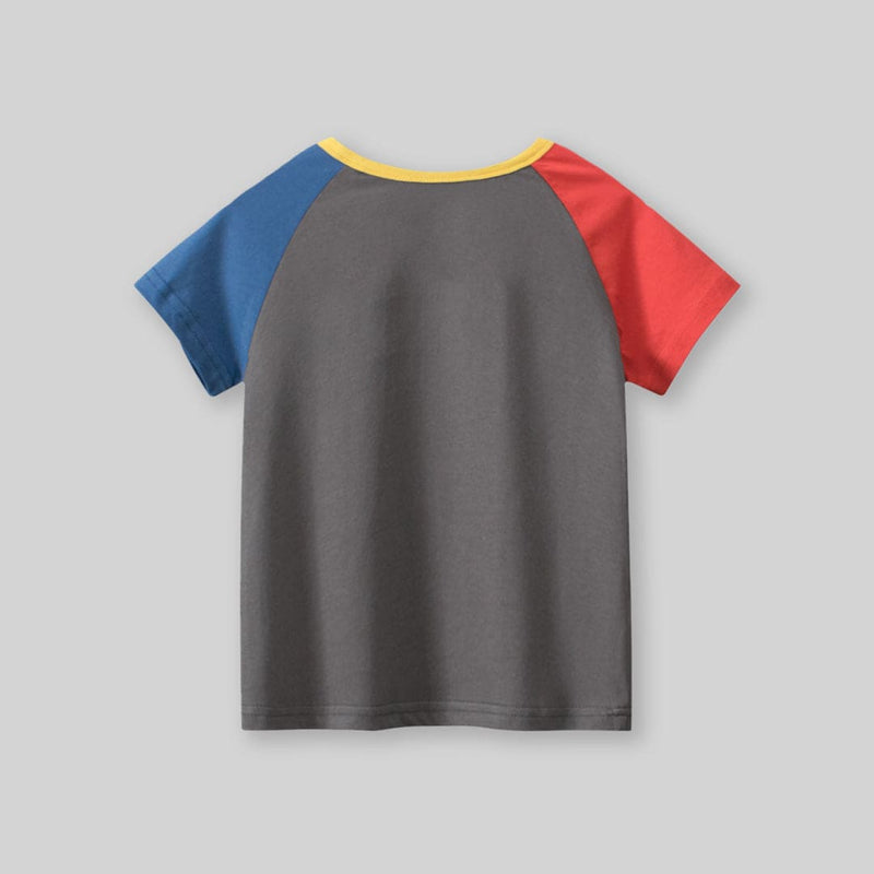 Boys Grey Graphic Print Raglan Sleeves T-Shirt Tshirts   