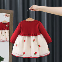 Girls Red Long Sleeve Strawberry Embroidery Fit & Flare Dress Casual Dresses   