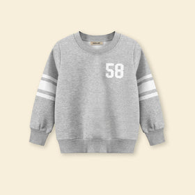 Boys Gray Regular Long Sleeves Sweatshirt Sweatshirts & Hoodies   