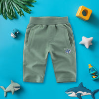 Boys Green Shark Embroidered Elasticated Shorts Shorts Green 1-2 Y 