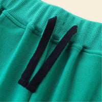 Boys Green Car Embroidered Sweatpants Joggers   