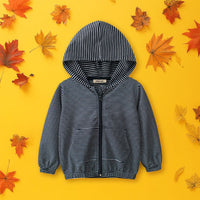 Boys Blue Striped Full Sleeves Hoodie Sweatshirts & Hoodies Blue 1-2 Y 