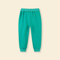 Boys Green Car Embroidered Sweatpants Joggers   