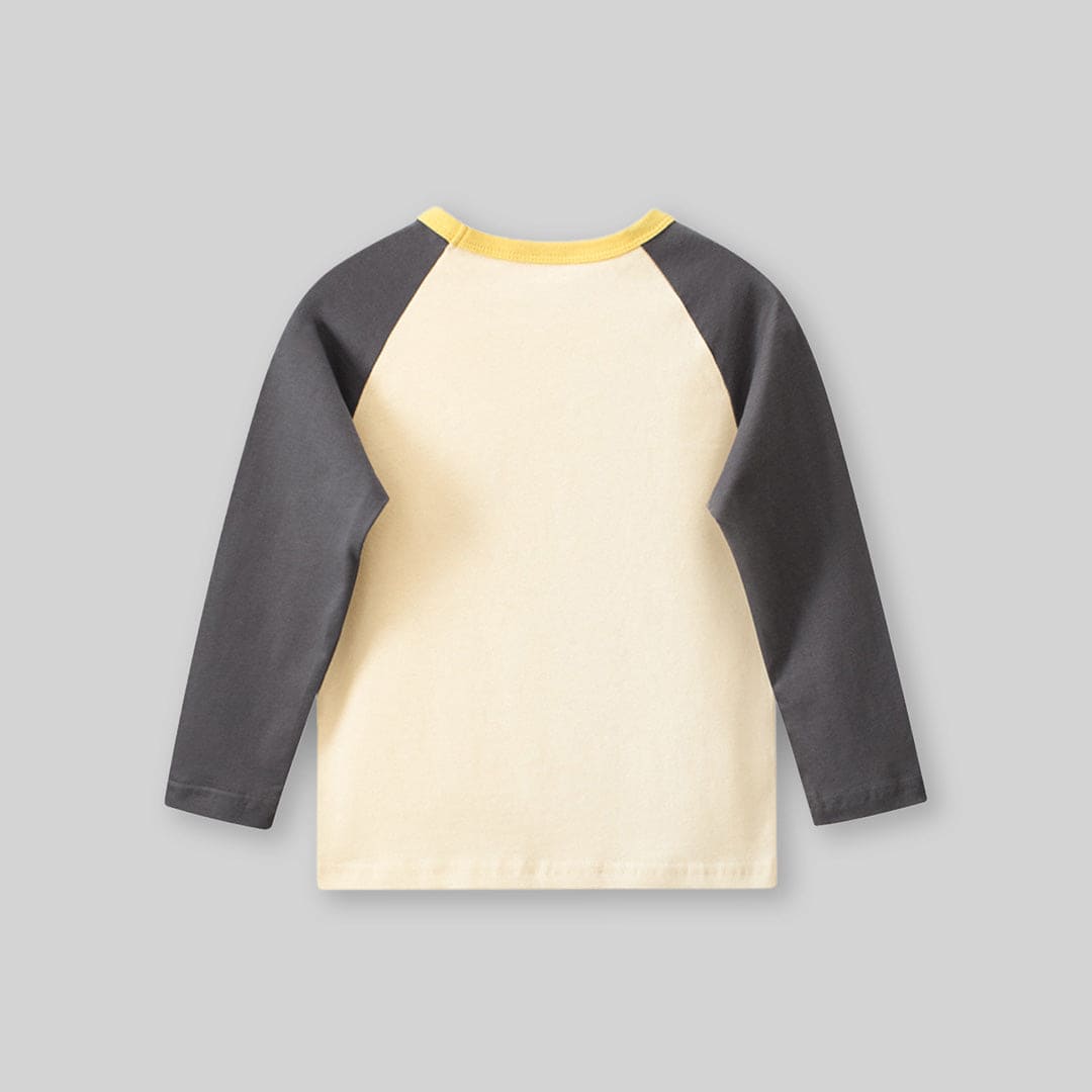 Boys Gray Graphic Print Raglan Sleeves T-shirt Tshirts   