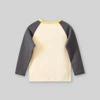 Boys Gray Graphic Print Raglan Sleeves T-shirt Tshirts   