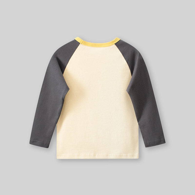 Boys Gray Graphic Print Raglan Sleeves T-shirt Tshirts   