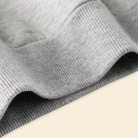 Boys Gray Regular Long Sleeves Sweatshirt Sweatshirts & Hoodies   