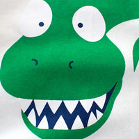 Boys White Dinosaur Print Full Sleeves T-shirt Tshirts   