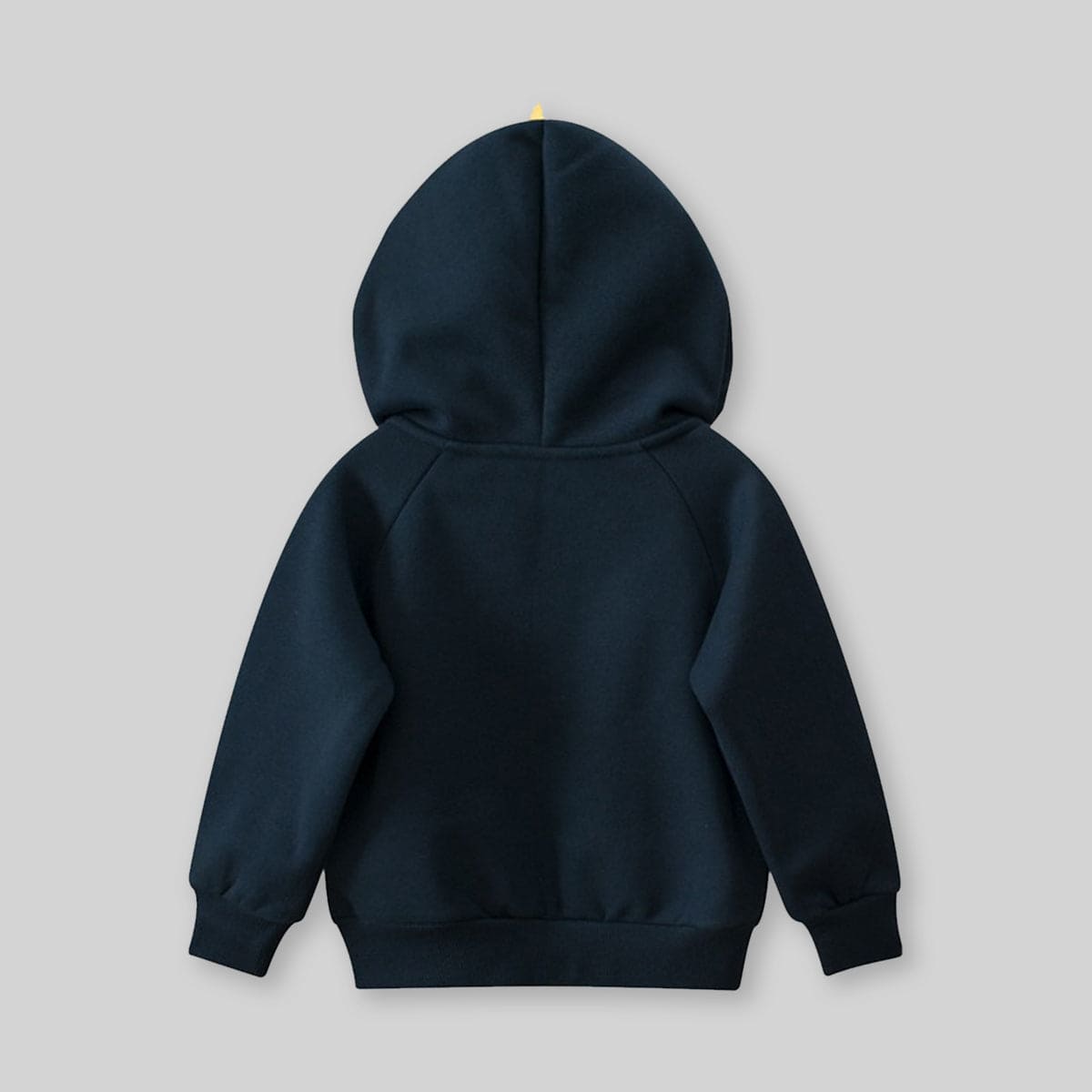 Boys Blue Dinosaur Print Long Sleeves Hooded Sweatshirt Sweatshirts & Hoodies   