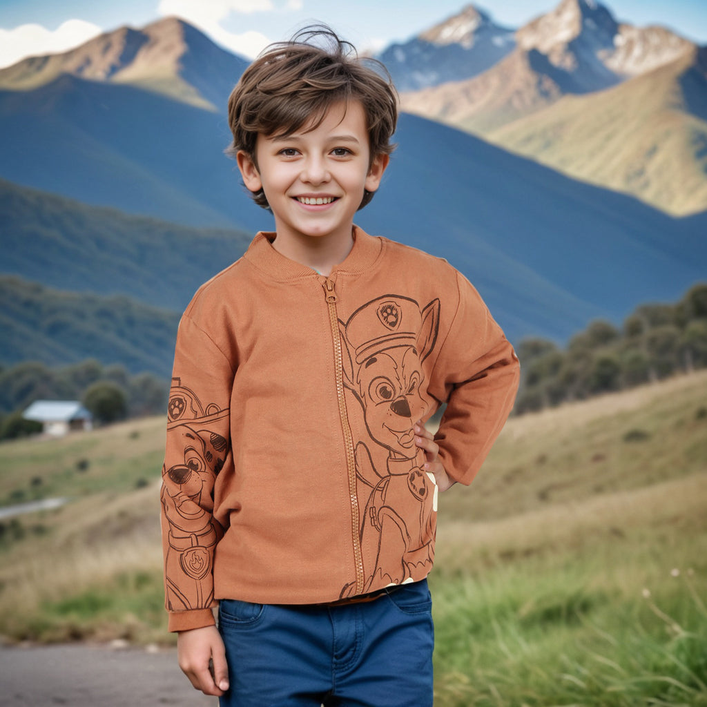 Boys Brown Graphic Print Full Sleeves Sweatshirt Sweatshirts & Hoodies Brown 3-4 Y 