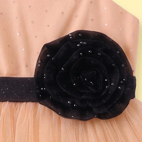 Girls Peach One -Shoulder Floral Applique Fit & Flare Dress Party Dresses