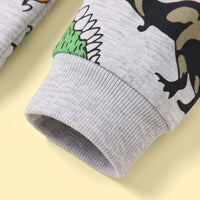 Boys Grey Dinosaur Print Round Neck Sweatshirt Sweatshirts & Hoodies