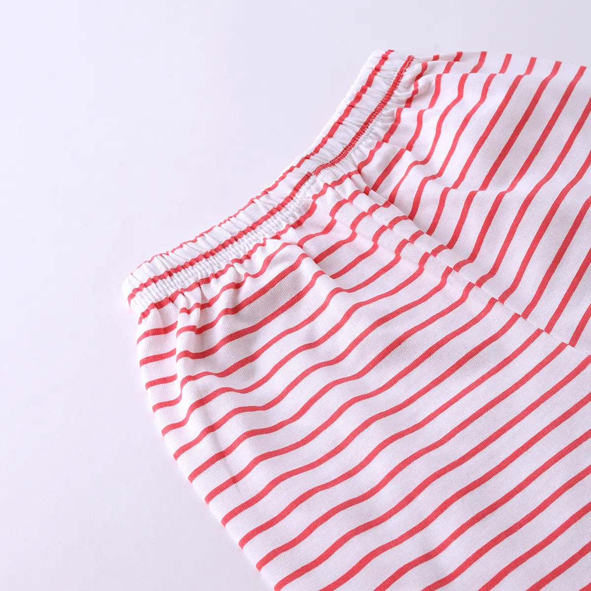 Boys Red Animal Graphics Short Sleeve T-Shirt With Striped Drawstring Shorts Sets Sets