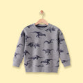 Boys Grey Dinosaur Print Round Neck Sweatshirt Sweatshirts & Hoodies Grey 1-2 Y