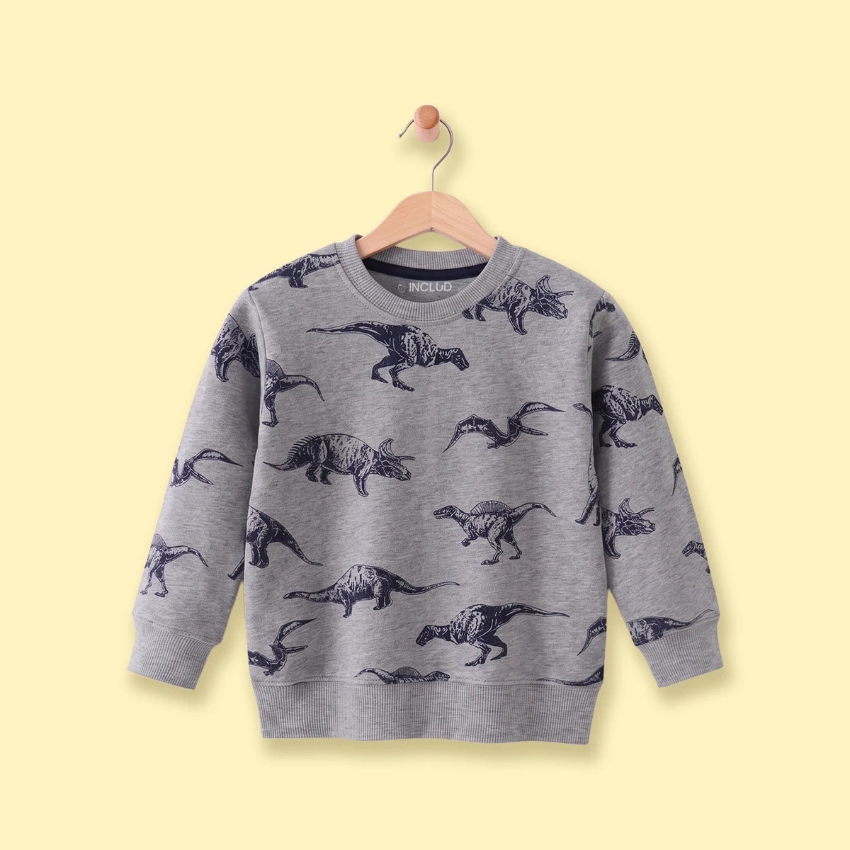 Boys Grey Dinosaur Print Round Neck Sweatshirt Sweatshirts & Hoodies Grey 1-2 Y