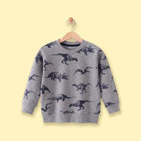 Boys Grey Dinosaur Print Round Neck Sweatshirt Sweatshirts & Hoodies Grey 1-2 Y