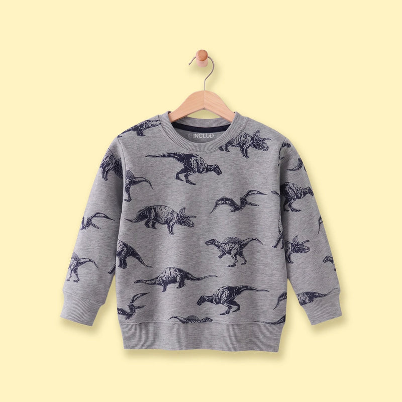 Boys Grey Dinosaur Print Round Neck Sweatshirt Sweatshirts & Hoodies Grey 1-2 Y