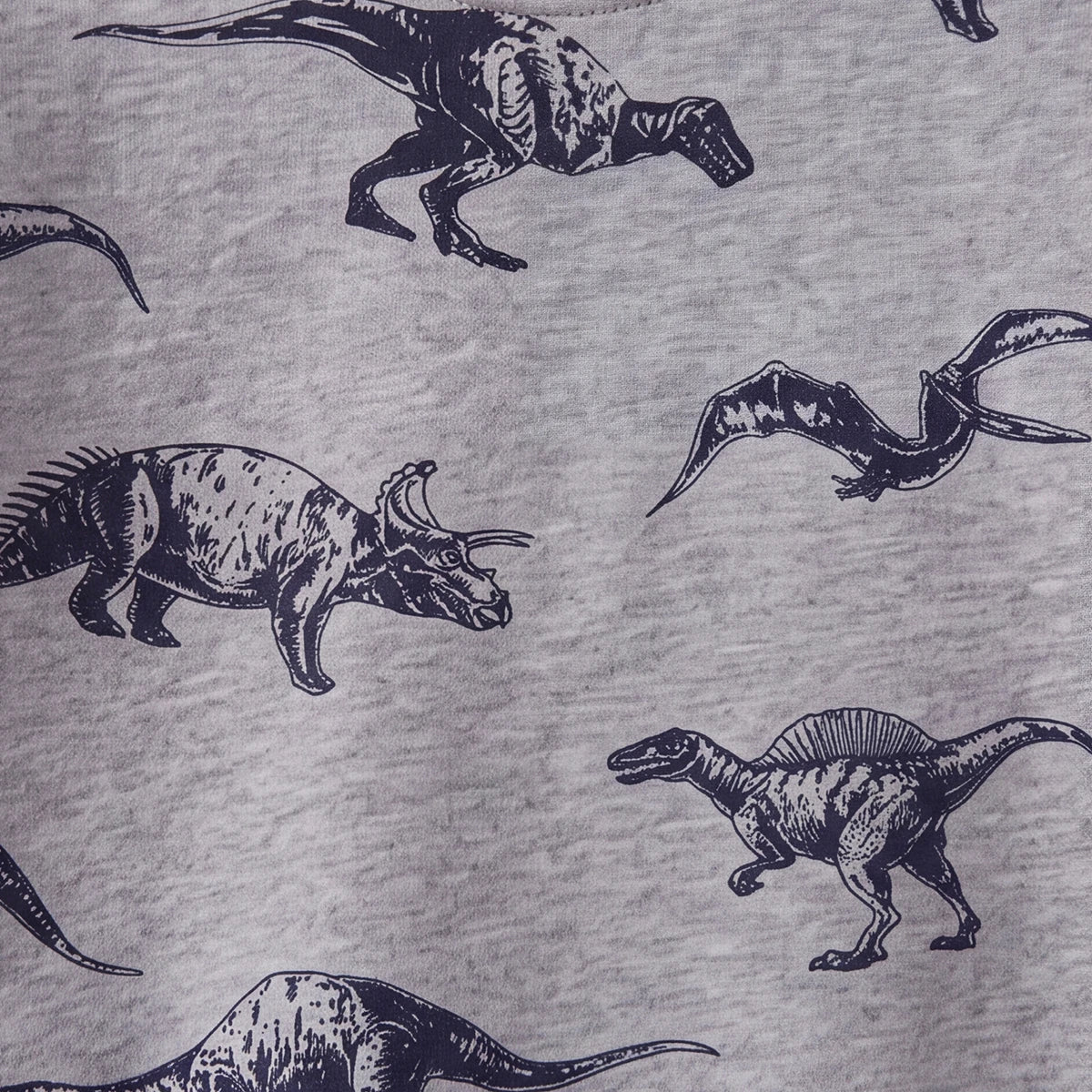 Boys Grey Dinosaur Print Round Neck Sweatshirt Sweatshirts & Hoodies