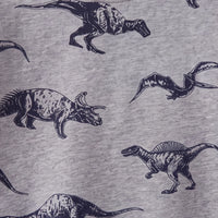 Boys Grey Dinosaur Print Round Neck Sweatshirt Sweatshirts & Hoodies