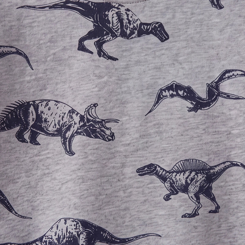 Boys Grey Dinosaur Print Round Neck Sweatshirt Sweatshirts & Hoodies