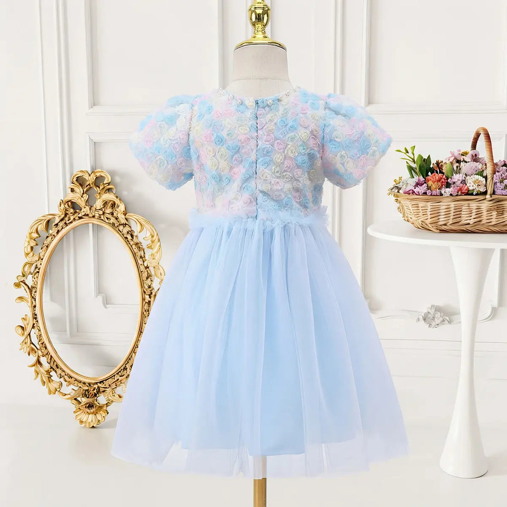 Girls Sky Blue Floral Tulle Overlay Fit & Flare Dress With Puff Sleeves Casual Dresses