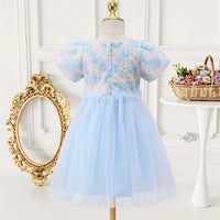 Girls Sky Blue Floral Tulle Overlay Fit & Flare Dress With Puff Sleeves Casual Dresses