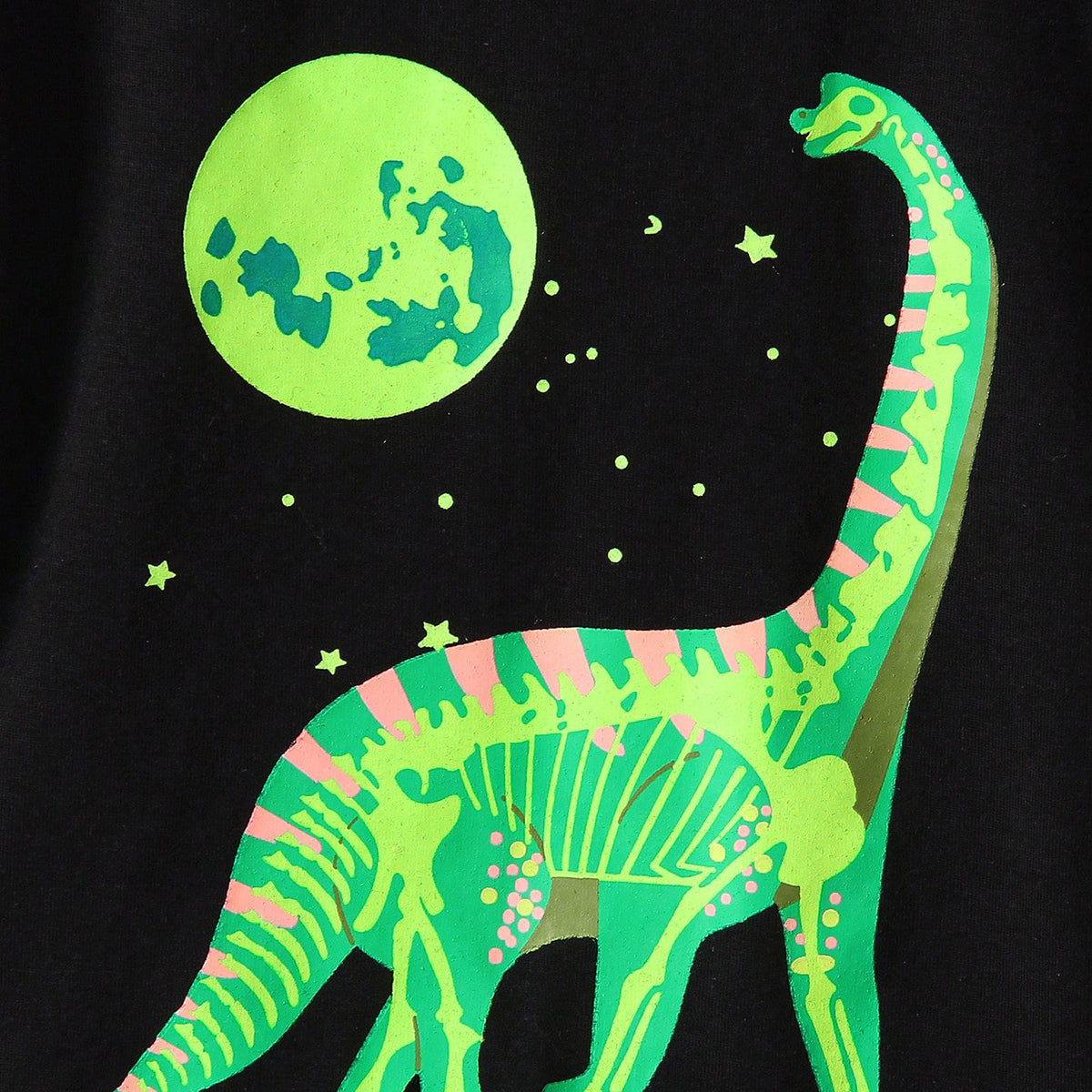 Boys Black Dinosaur Graphic Short Sleeves Round Neck T-Shirt Tshirts