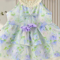 Girls Blue Floral Print Layered Fit & Flare Dress Casual Dresses