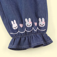 Girls Blue Embroidered Denim Pants Pants