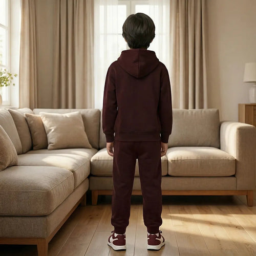 Boys Maroon Dinosaur Graphics Hoodies Sweatshirt With Joggers Sets 2 pc. Sets