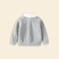 Boys Grey Long Sleeves Sweater With Shirt Collar Sweaters & Cardigans