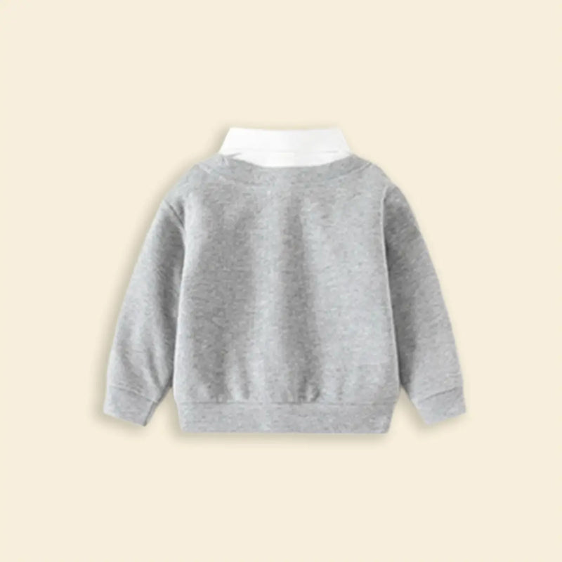 Boys Grey Long Sleeves Sweater With Shirt Collar Sweaters & Cardigans