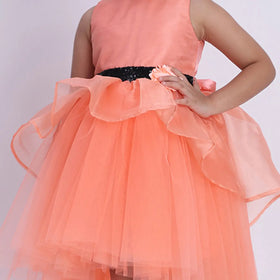 Girls Orange Flower Applique Sleeveless Fit & Flare Dress With Tulle High-Low Hemline Party Dresses