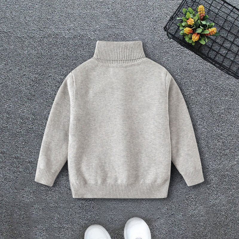 Boys Grey Textured Turtleneck Sweater Sweaters & Cardigans Grey 2-3 Y