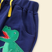 Boys Dinosaur Applique Elasticated Shorts Shorts   