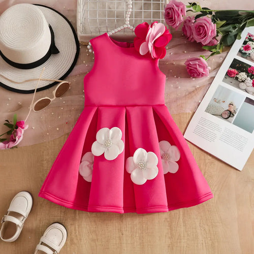 Girls Fuchsia Sleeveless Fit & Flare Party Wear Dress With Delicate Floral Appliques Party Dresses Fuchsia 2-3 Y