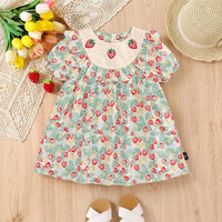 Girls Light Green Strawberry Embroidery A-line Dress Casual Dresses Light Green 2-3 Y