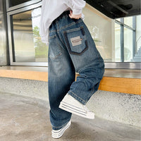 Boys Blue Embroidered Loose Fit Denim Jeans Pants