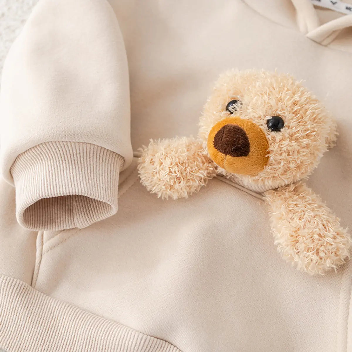 Boys Beige Animal Applique Regular Sweatshirt With Trouser Sets 2 pc. Sets