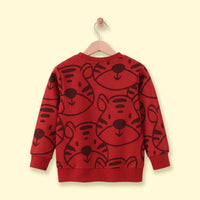 Boys Red Graphic Long Sleeve Sweatshirt Sweatshirts & Hoodies