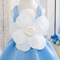 Girls Sky Blue Floral Applique Fit & Flare Party Dresses Party Dresses