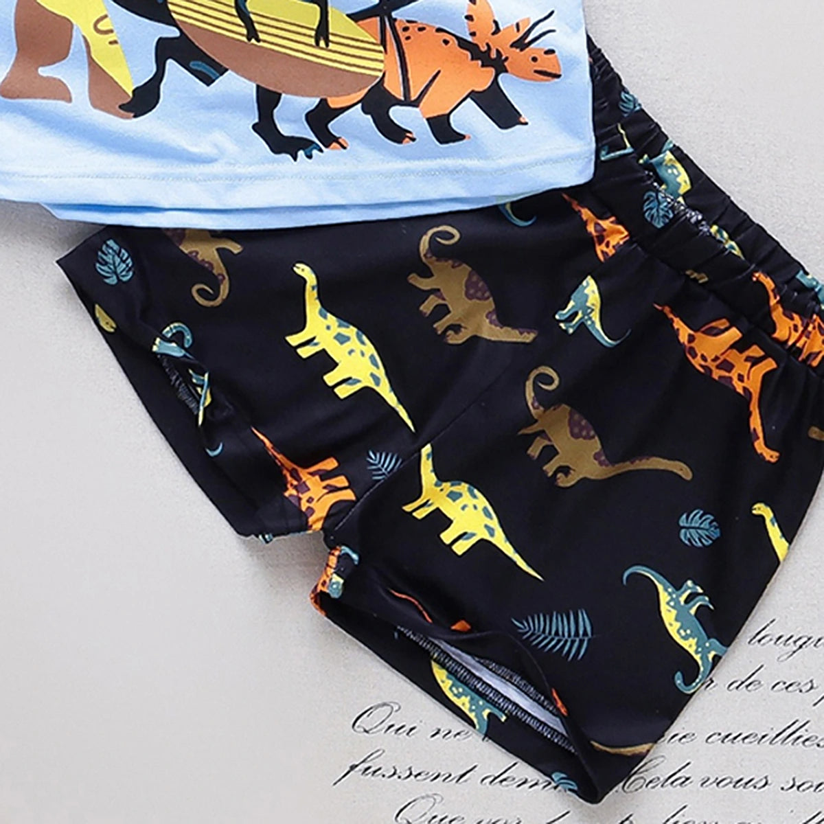 Boys Light Blue Dinosaur Print Short Sleeve T-Shirt With Shorts Sets 2 pc. Sets