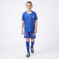 Boys Royal Blue Short Sleeve Graphics Print T-Shirt With Shorts Sets 2 pc. Sets Royal Blue 2-3 Y