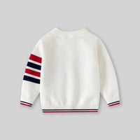 Boys White Regular Sweater With Self-Design Puppy Patterns Sweaters & Cardigans