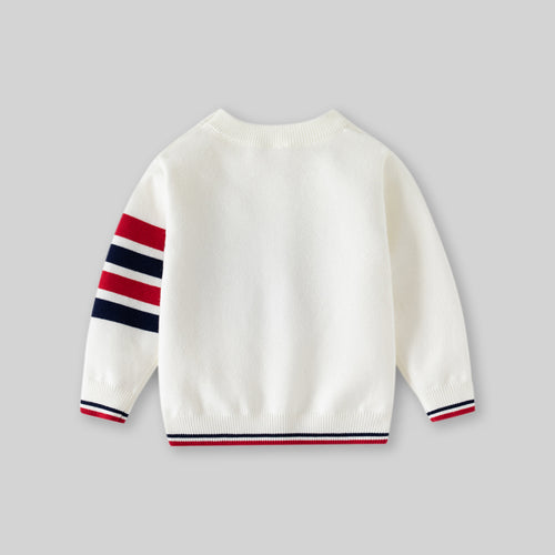 Boys White Regular Sweater With Self-Design Puppy Patterns Sweaters & Cardigans