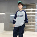 Boys Grey Typographic Printed Raglan Sleeves Winter Sweatshirt Sweatshirts & Hoodies Grey 5-6 Y