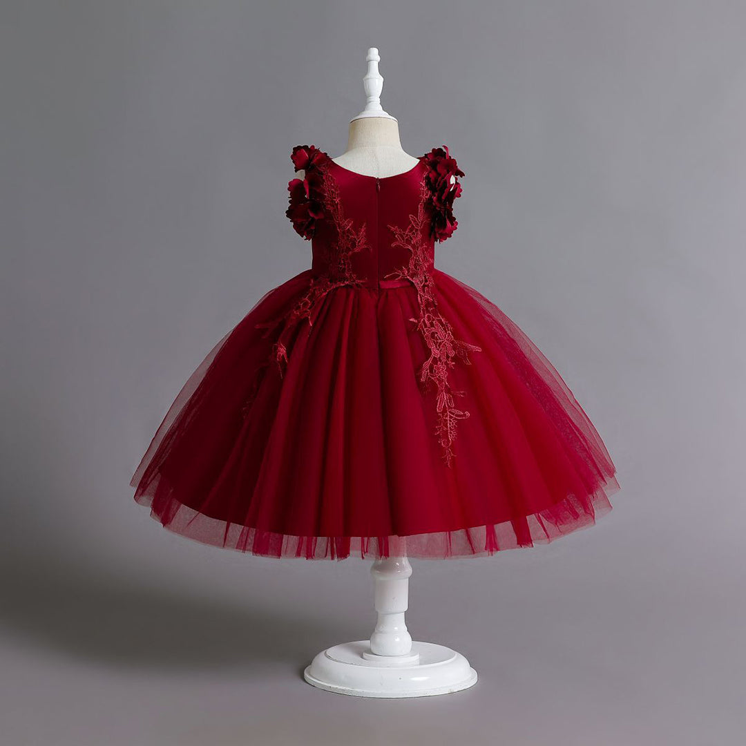 Girls Embroidered Fit & Flare Party Dress Party Dresses Red 1-2 Y