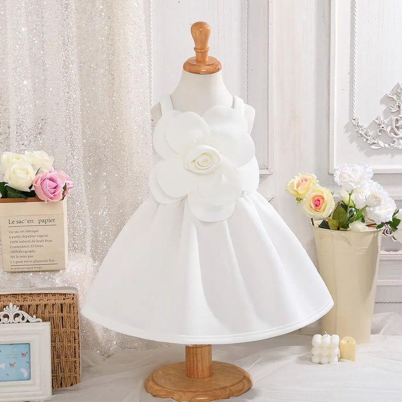 Girls White Floral Applique Fit & Flare Party Dresses Party Dresses White 2-3 Y